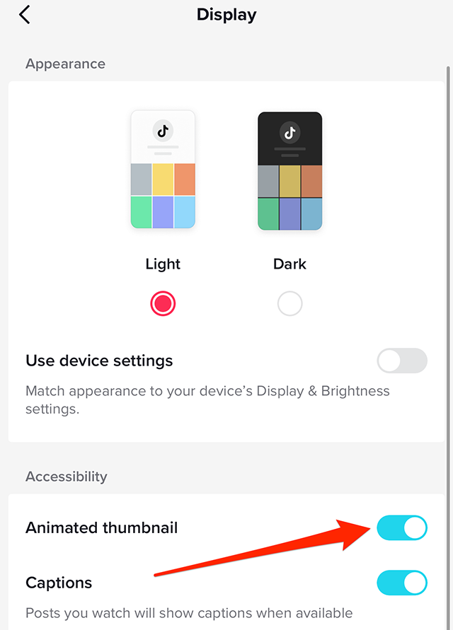 TikTok How to Turn Off Animated Thumbnails